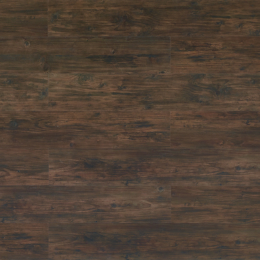 Century Morocco Pine
